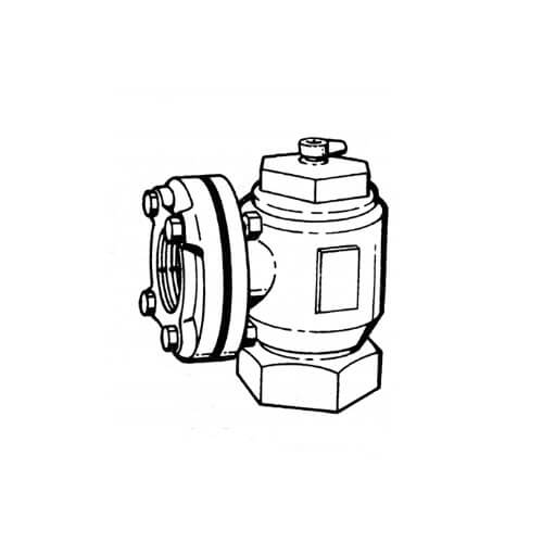 Bell & Gossett, 107006    | 2-1/2" Threaded Angle Flow Control  |   Bell & Gossett